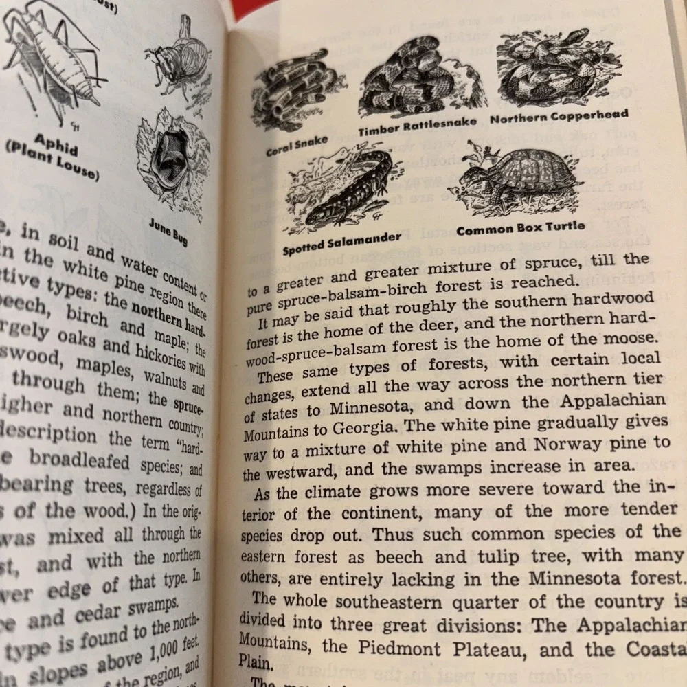 Vintage BSA Handbook for Boys - Also Swimming Manual. Items in great‎ shape 3573